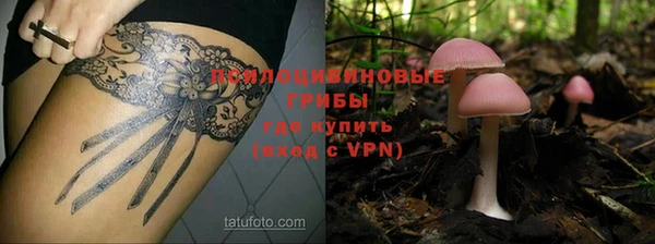 кокс Арсеньев