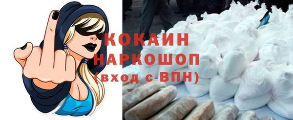 индика Армянск