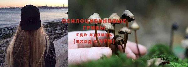 кокс Арсеньев