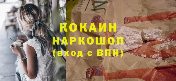 индика Армянск